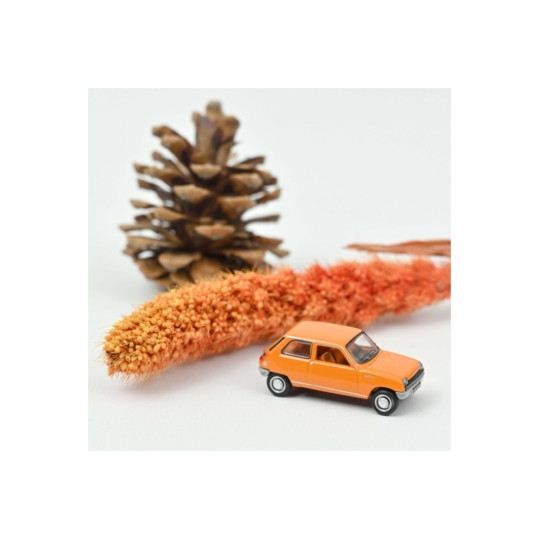 RENAULT 5 1972 orange 1/87 NOREV