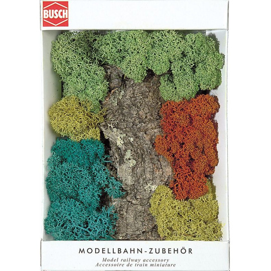 Rocher + buisson (lichen)...