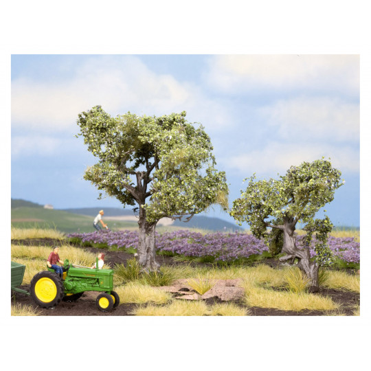 2 Oliviers 6 et 9 cm NOCH