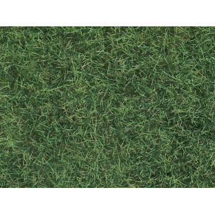 Herbe sauvage vert clair 6mm fibre flocage sachet 50g XL NOCH