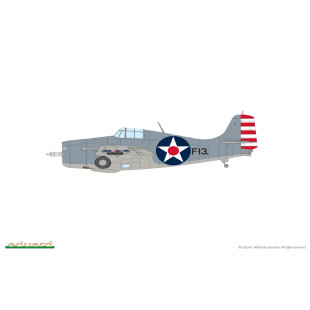 Grumman F4F WILDCAT 1/48 US WWII Dual Combo Fighter 1/48 maquette EDUARD ProfiPACK