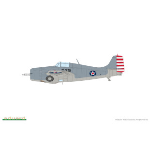 Grumman F4F WILDCAT 1/48 US WWII Dual Combo Fighter 1/48 maquette EDUARD ProfiPACK