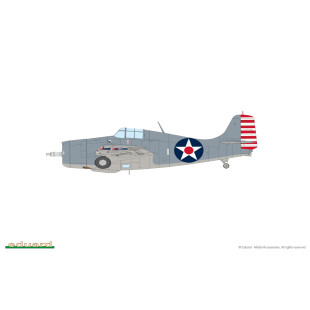 Grumman F4F WILDCAT 1/48 US WWII Dual Combo Fighter 1/48 maquette EDUARD ProfiPACK