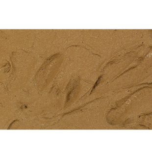 TERRE NATURELLE 200ML PRINCE AUGUST