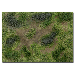 Décor Herbes de prés rugueux fin d'été C Martin Welberg