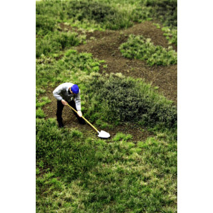 Décor Herbes de prés rugueux fin d'été C Martin Welberg