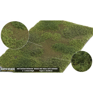Décor Herbes de prés rugueux fin d'été C Martin Welberg