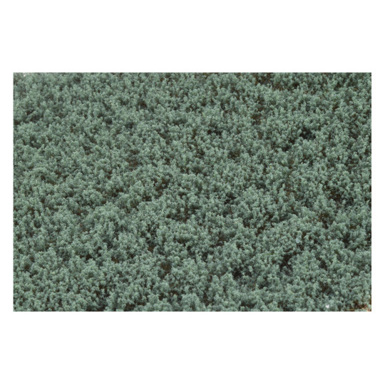 Décor Herbes basses vert sauge 4-6 cm plaque 21x15 cm Martin Welberg