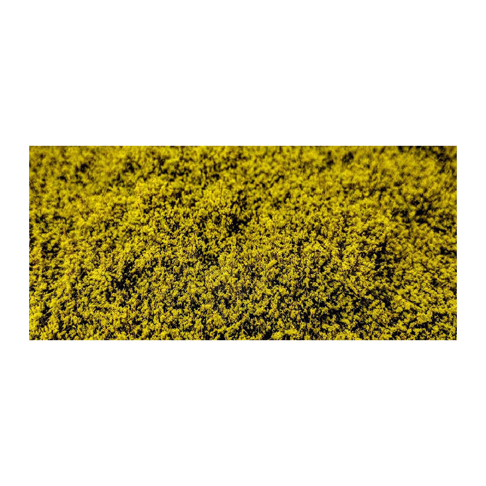 Décor Arbustes type F vert clair 2-20mm plaque 21x15 cm Martin Welberg
