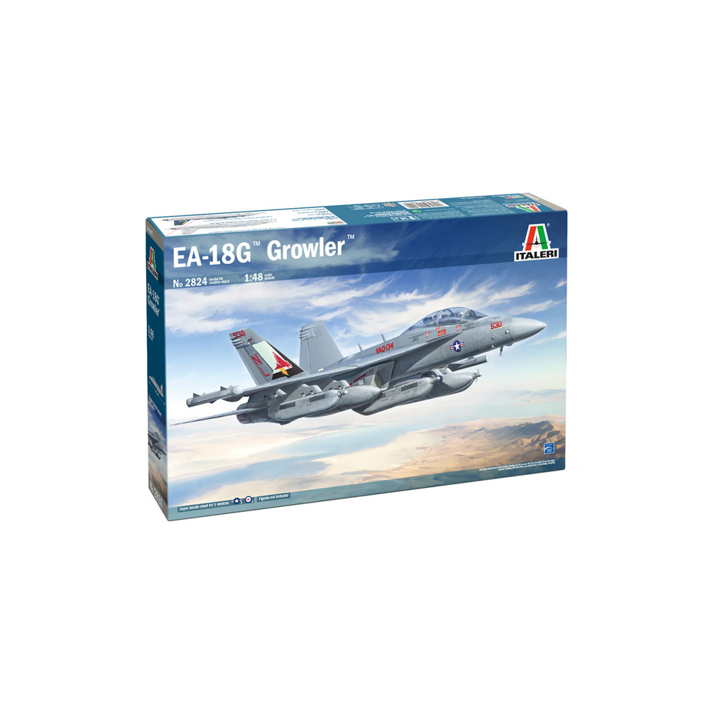 Avion  Boeing EA-18G Growler Super Hornet maquette 1/48 ITALERI