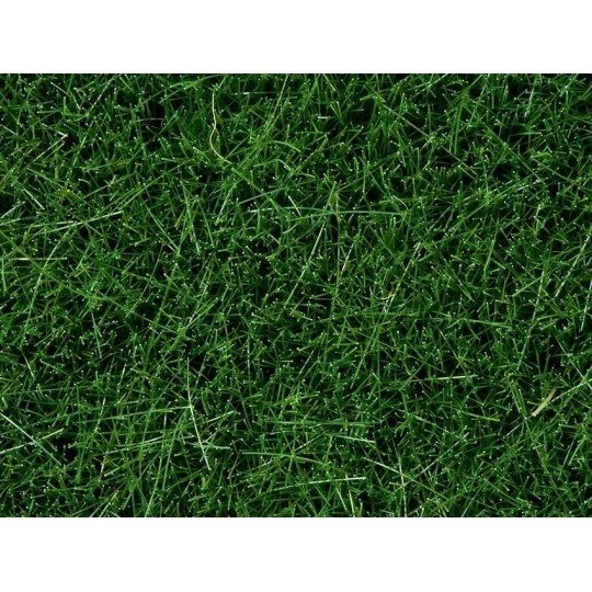 Herbe sauvage vert foncé 6mm sachet de 50g  NOCH