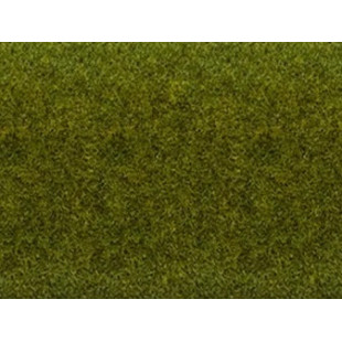 Tapis vert "pré" 120 x 60 cm  NOCH