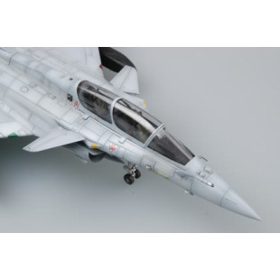 Dassault RAFALE B FIGHTER maquette 1/48 HOBBY BOSS