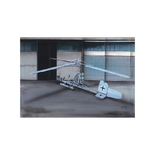 Bergeronnette - Bachstelze FOCKE ACHGELIS FA 330 1/32 FLY