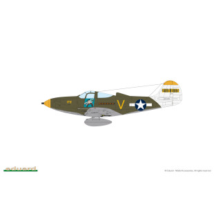 Avion P-39N Airacobra maquette 1/48 EDUARD ProfiPACK