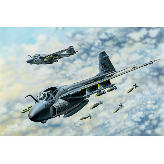 Grumman INTRUDER A-6E TRAM maquette 1/48 HOBBYBOSS