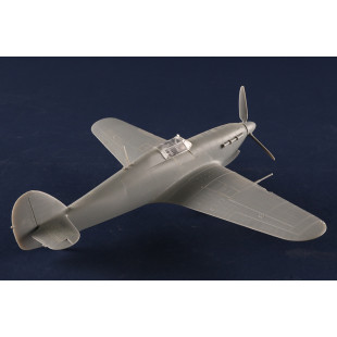 Hawker HURRICANE Mk.ⅡD/Trop maquette 1/48 HOBBY BOSS