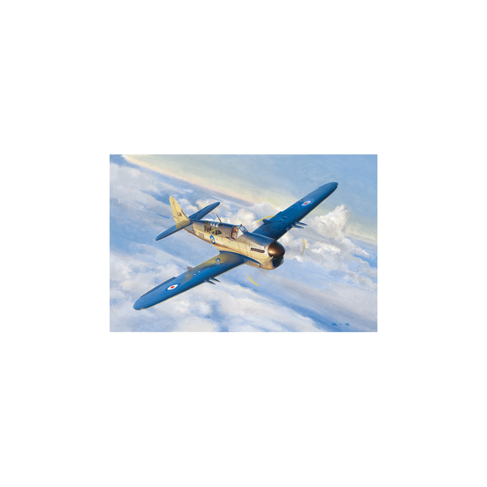Fairey Firefly Mk.1 avion GB WW2 maquette 1/48 TRUMPETER
