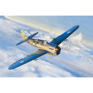 Fairey Firefly Mk.1 avion GB WW2 maquette 1/48 TRUMPETER