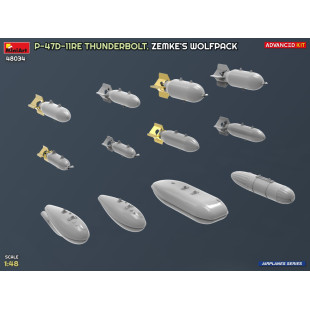 Republic P-47D-11 RE Thunderbolt "Razorback" Wolfpack maquette 1/48 MINIART