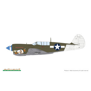 Curtiss P-40-N Warhawk maquette 1/48 EDUARD ProfiPACK