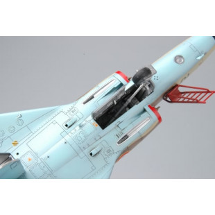 Dassault Mirage III C French AF maquette 1/48 HOBBY BOSS