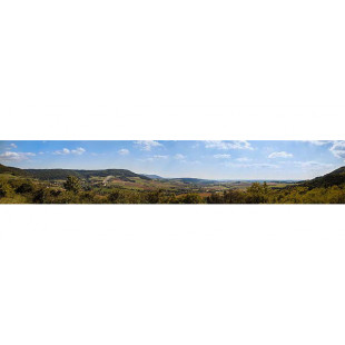 Fond de décor forêt noire FALLER