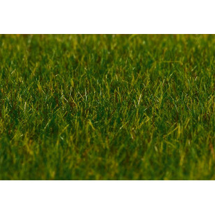 Flocage fibres Premium herbes hautes vert foncé d'été 30g FALLER