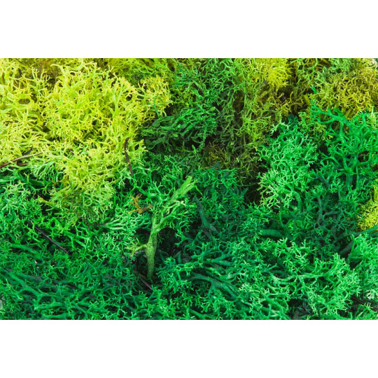 Lichens 1/87 HO FALLER