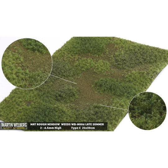 Décor Herbes de prés rugueux fin d'été C Martin Welberg