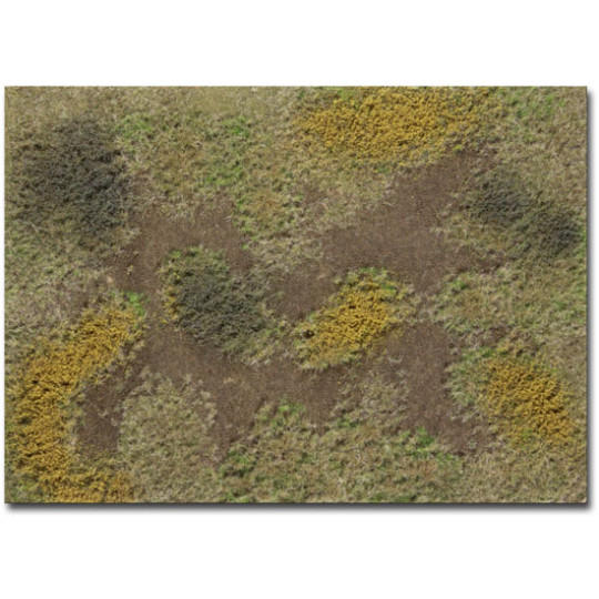 Décor Herbes d'automne E Martin Welberg