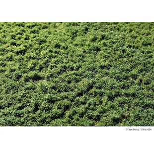 Décor Touffes en couches mauvaises herbes Eté 4,5 mm Martin Welberg
