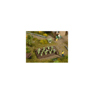 Plants de choux raves 1/87 NOCH
