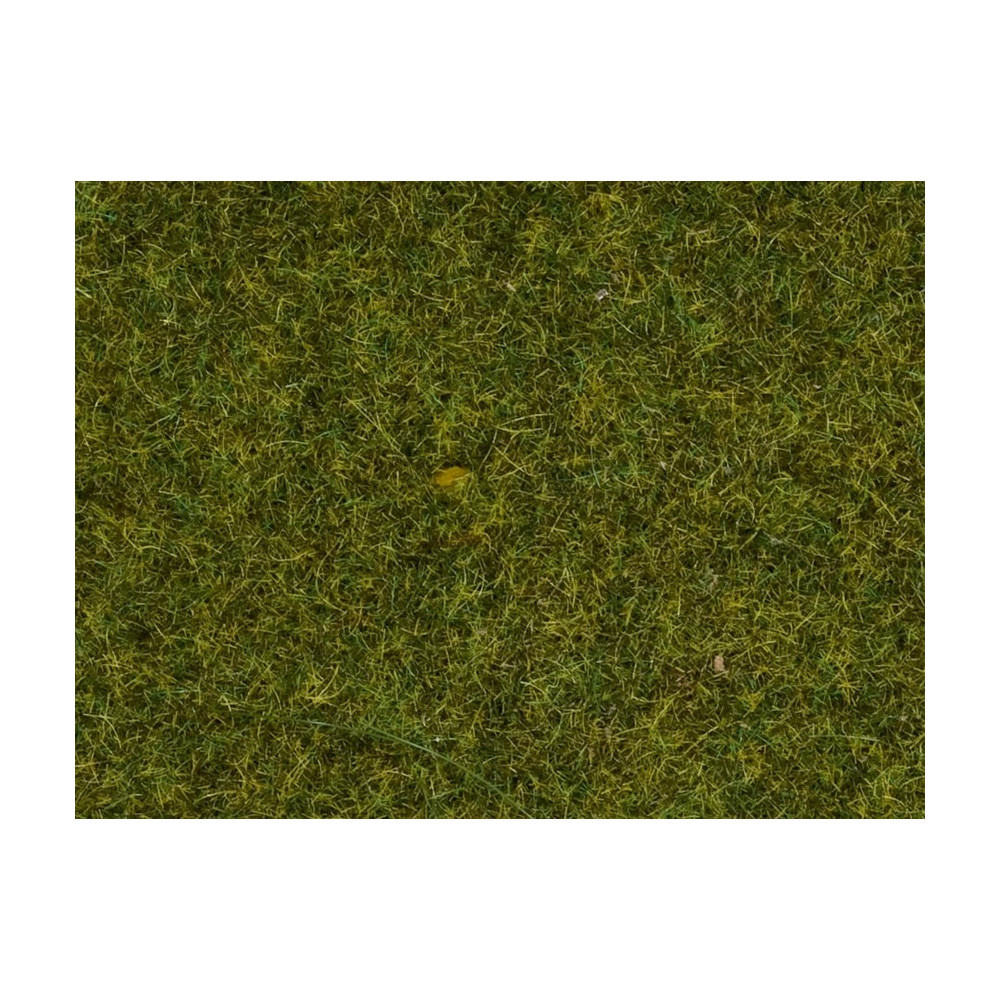 Herbes "pré" en 4mm 20 g NOCH