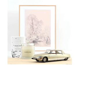 Citroën DS 21 coupé Lorraine 1969 Champagne metal 1/18 NOREV