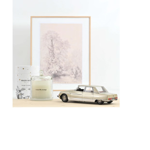 Citroën DS 21 coupé Lorraine 1969 Champagne metal 1/18 NOREV